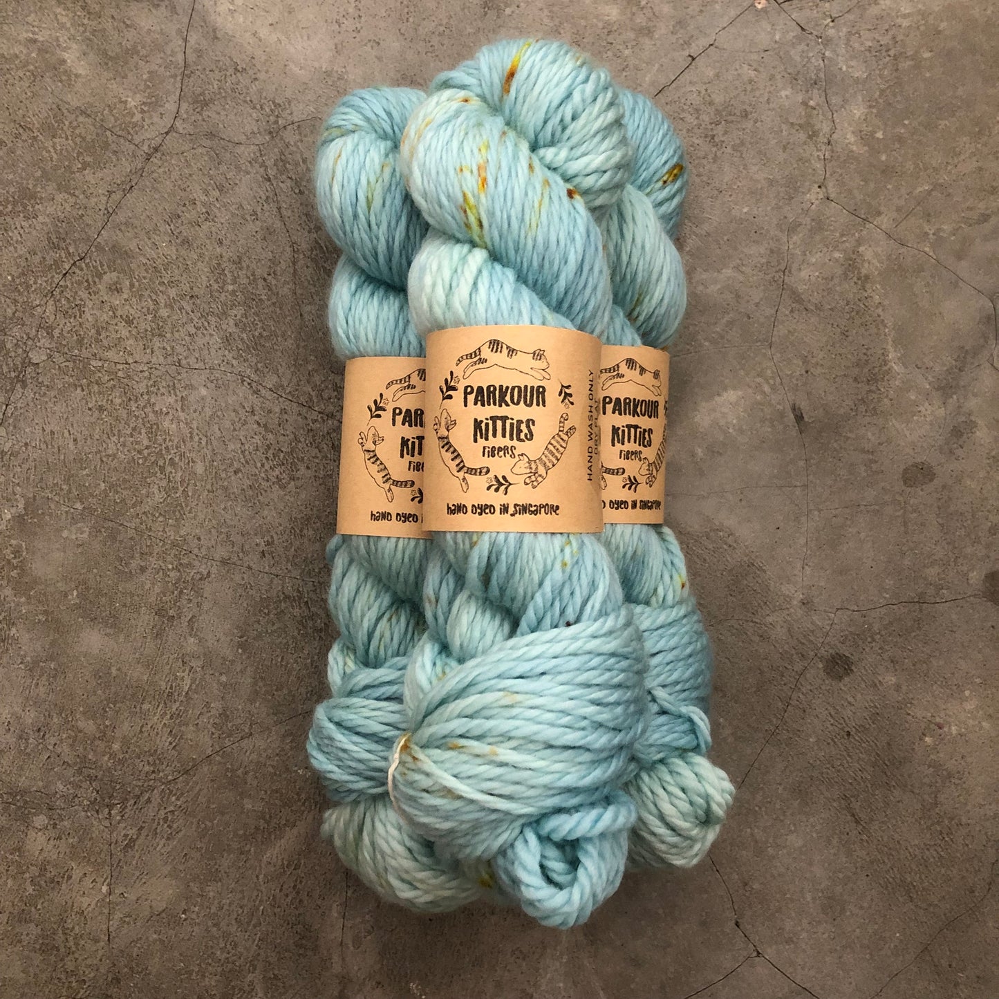 Parkour Kitties Fibers - 2025 Trunk Show Collection