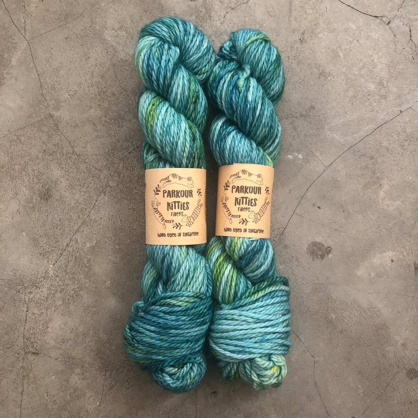 Parkour Kitties Fibers - 2025 Trunk Show Collection