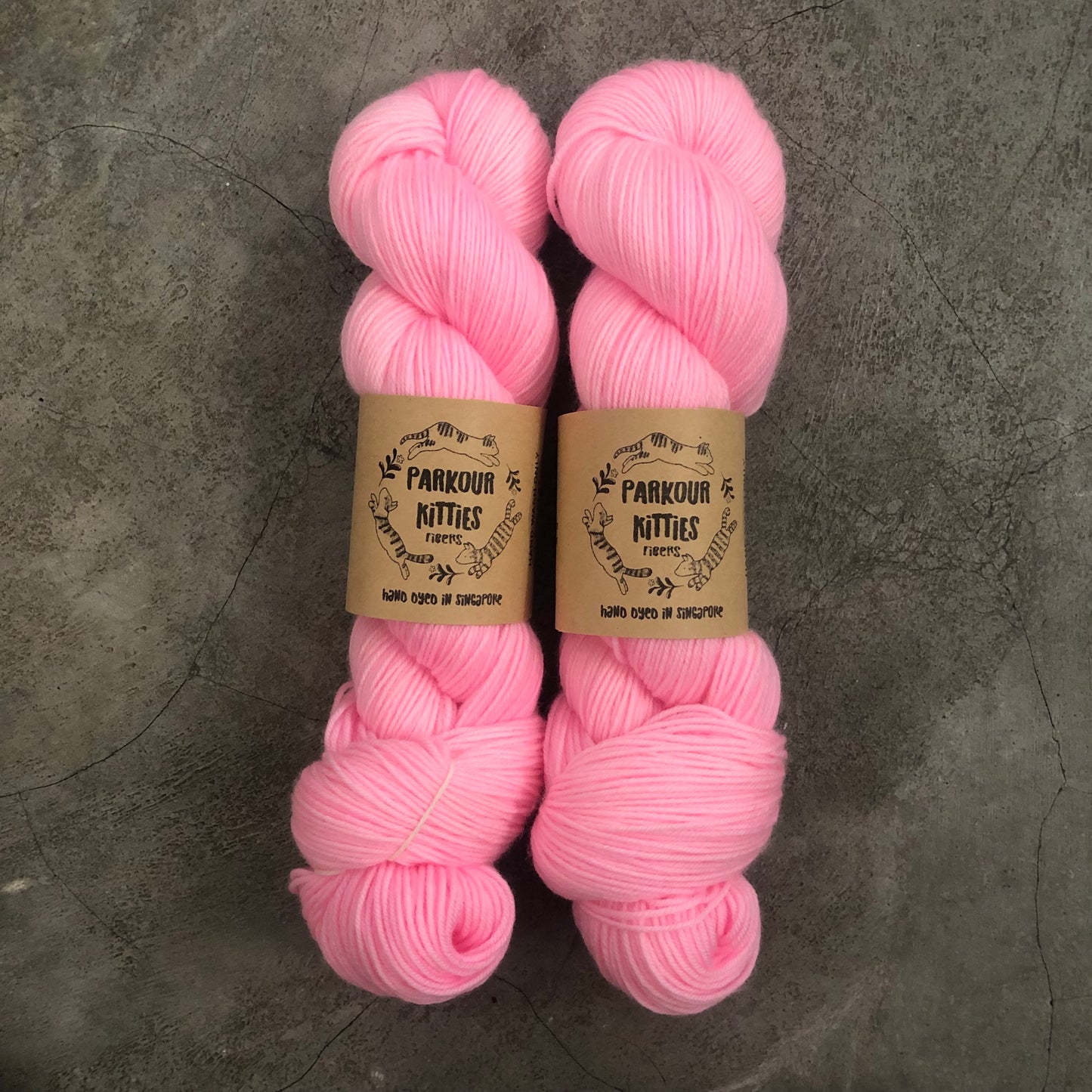 Parkour Kitties Fibers - 2025 Trunk Show Collection