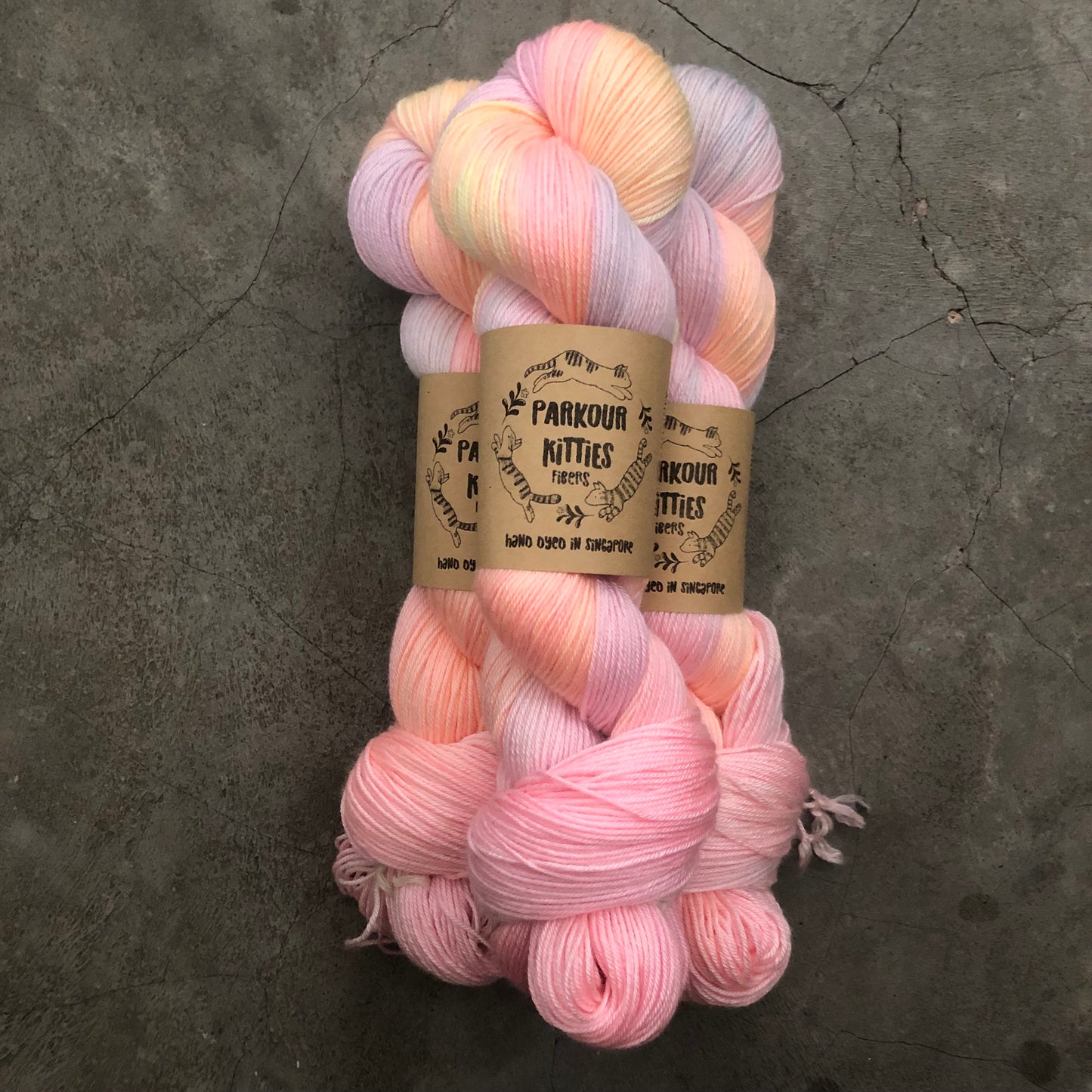 Parkour Kitties Fibers - 2025 Trunk Show Collection