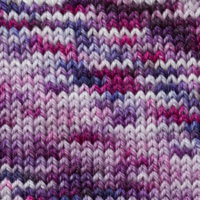 SweetGeorgia Superwash DK Anthem Swatch
