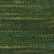 SweetGeorgia Flaxensilk DK Hemlock Swatch