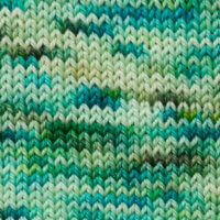 SweetGeorgia Superwash DK Seedling Swatch