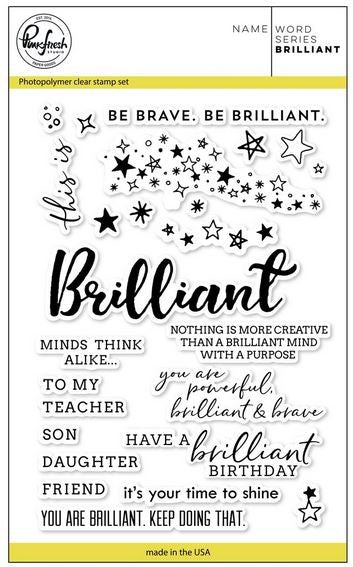 Pinkfresh Studio 4x6 Clear Stamp - Word Series