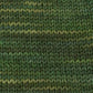 SweetGeorgia Flaxensilk DK Hemlock Swatch
