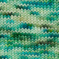 SweetGeorgia Superwash DK Seedling Swatch